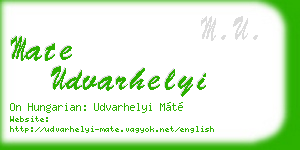mate udvarhelyi business card